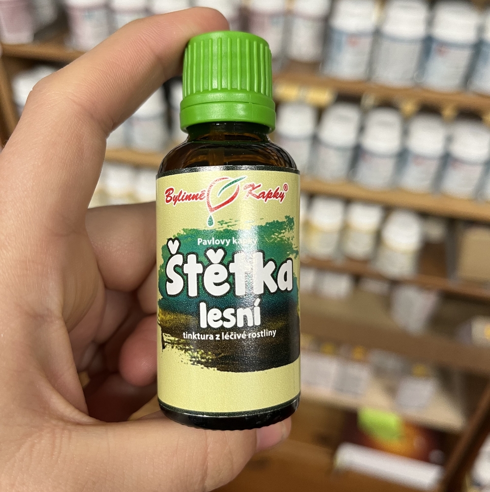 Obrázek Štětka lesní