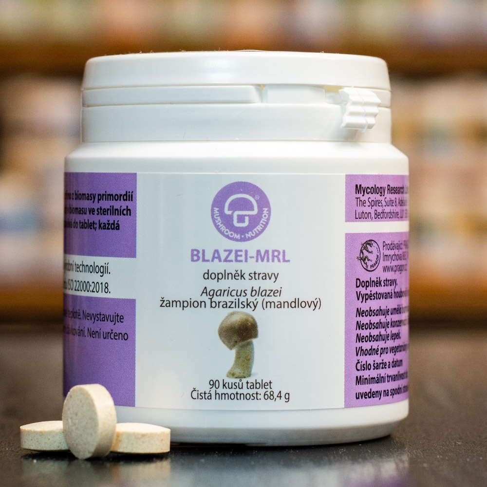 Blazei - MRL mycélium