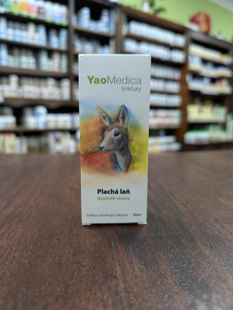 Obrázek 043 - Plachá laň